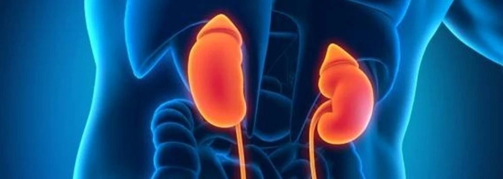 Προσοχή! Αυτά τα δέκα σημάδια αποκαλύπτουν ότι κάτι δεν πάει καλά με τα νεφρά σας